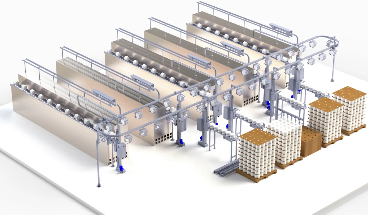 Cone Transport System layout with collection lines and pallets